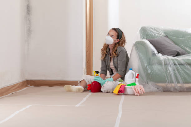 Reliable Commercial Mold Remediation contractor in Mackinaw City, MI by WQB Mold Removal